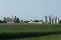 silos in a corn field