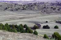 Nebraska Landscape