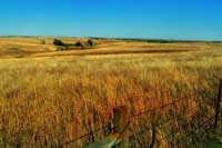 Nebraska landscape