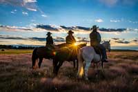 cowboys on horseback looking at the sunset