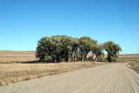Nebraska Landscape