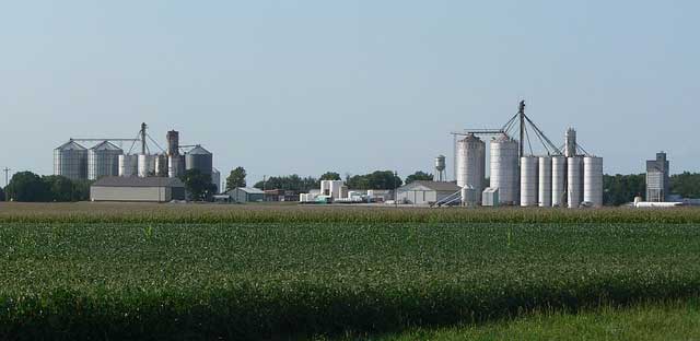 silos in a corn field