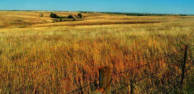 Nebraska landscape