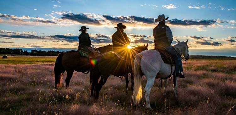 cowboys on horseback looking at the sunset
